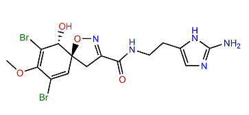 Pseudoceratinine A